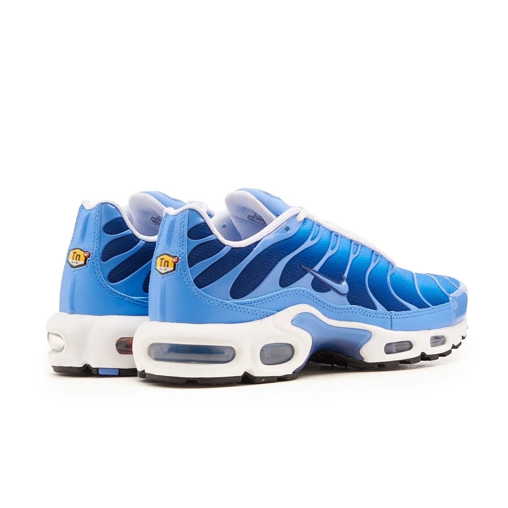 Air Max Plus TN 1 “Blue Light"