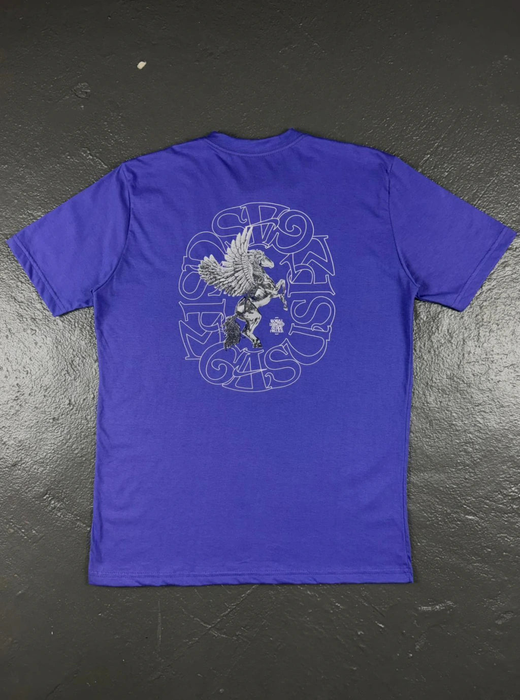 CAMISETA NIKE PEGASUS LEGACY