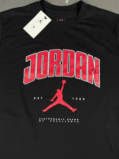 CAMISETA JORDAN PERFORMANCE