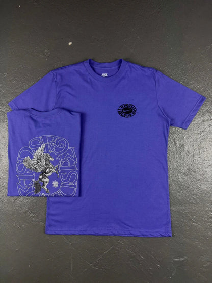CAMISETA NIKE PEGASUS LEGACY