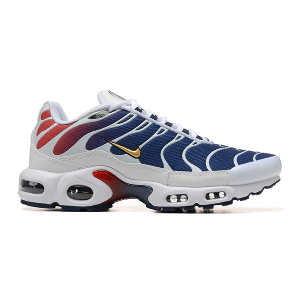 Air Max Plus TN 1 “PSG”