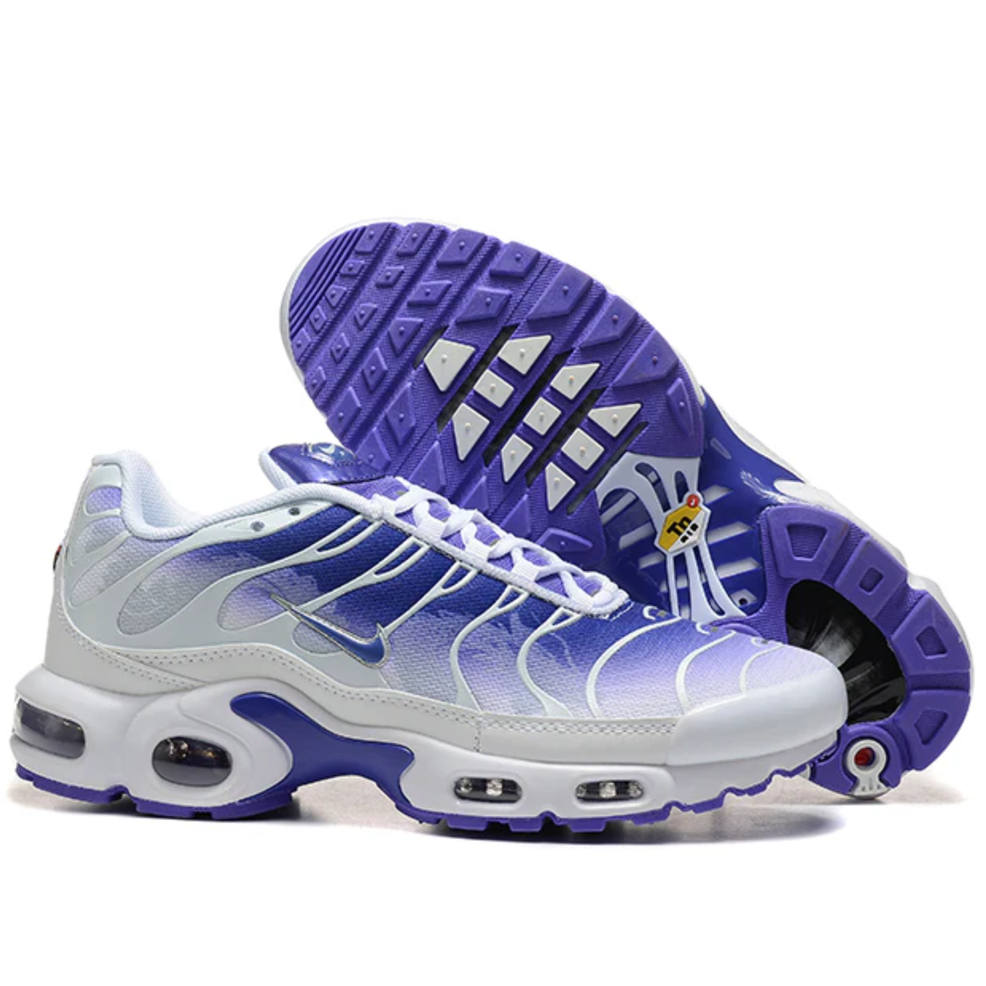Air Max Plus TN 1 "Purple Dragon"