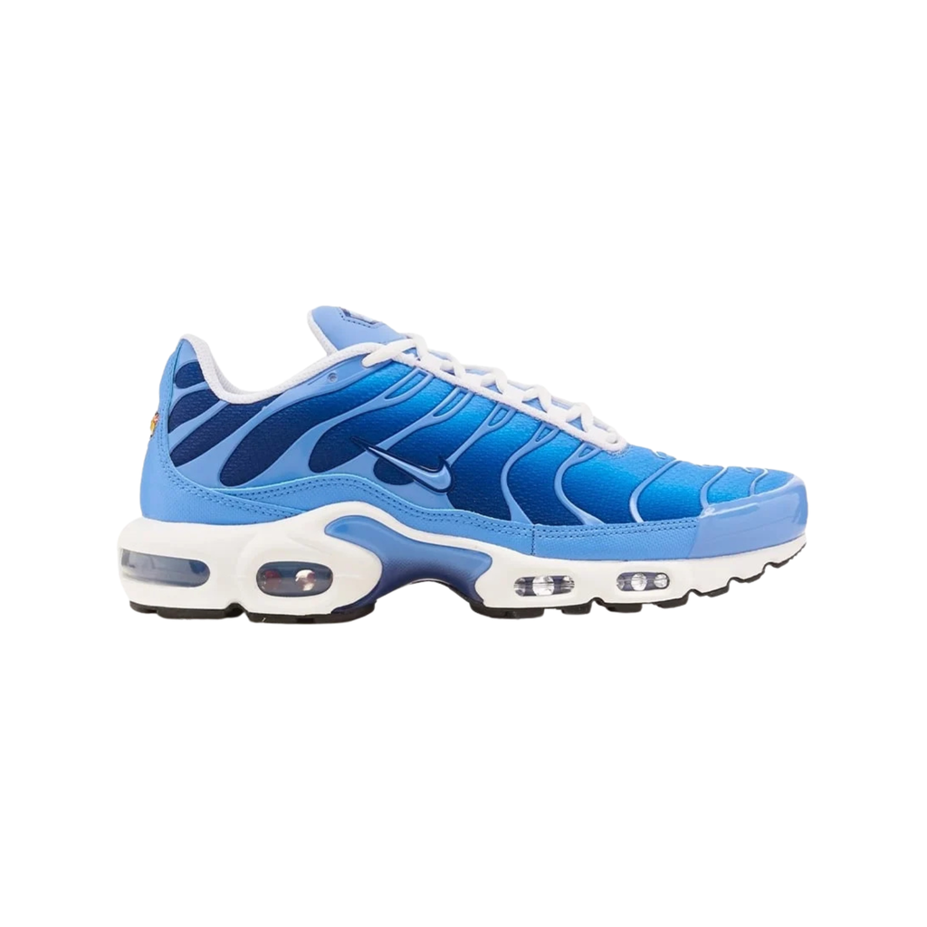 Air Max Plus TN 1 “Blue Light"