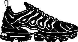VaporMax Plus